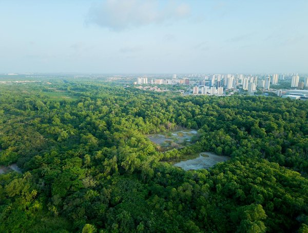 Panneau solaire photovoltaïque : avis clients et performance