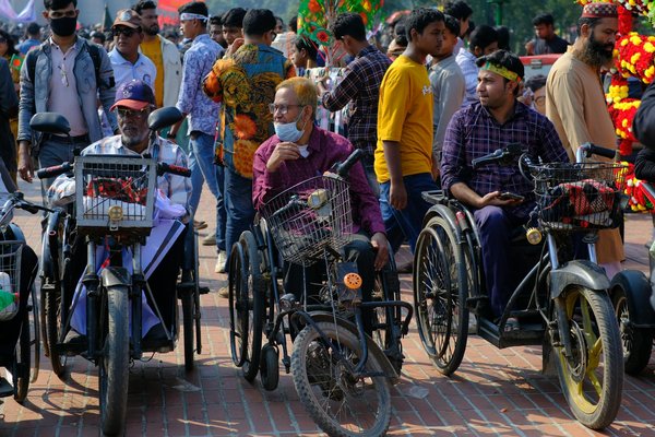 Top terrarium picks to enhance your pet's habitat